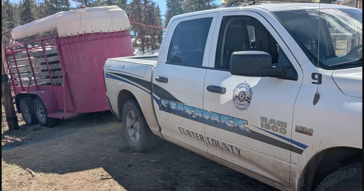 Dozens of animals were seized in Custer County - CBS Colorado
