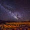 Saving Nevada's dark skies - one license plate at a time