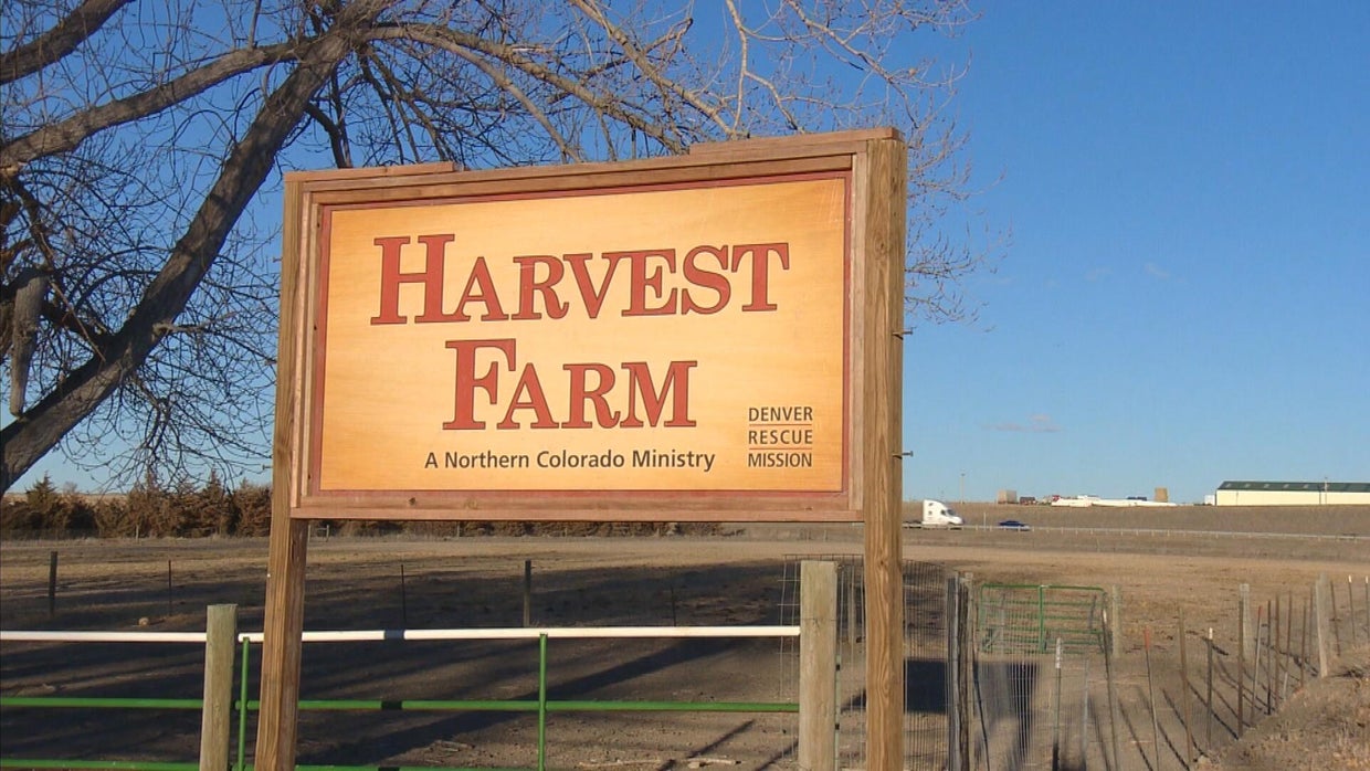 harvest-farm-3.jpg 