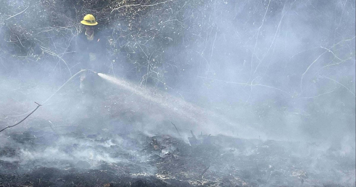 What to know about the wildfires in North and South Carolina
