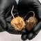 Mice genetically engineered to resemble extinct woolly mammoth