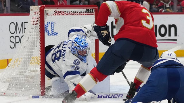 Lightning Panthers Hockey