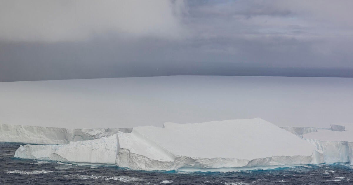 World's largest and oldest iceberg runs aground near remote penguin island