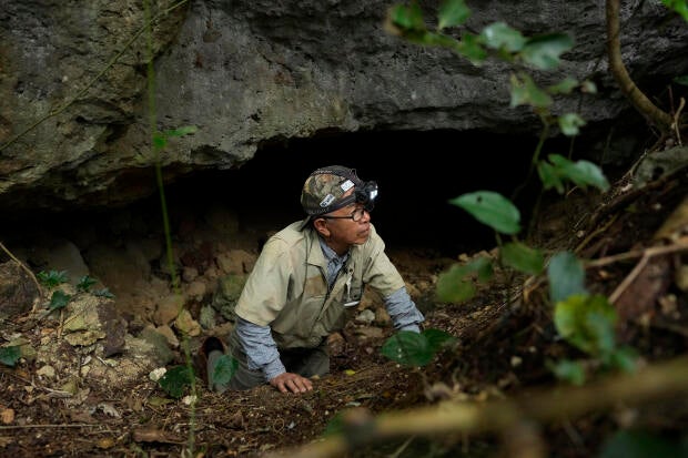 Volunteer searching for WWII dead in Japanese caves unearths remains of hundreds of people