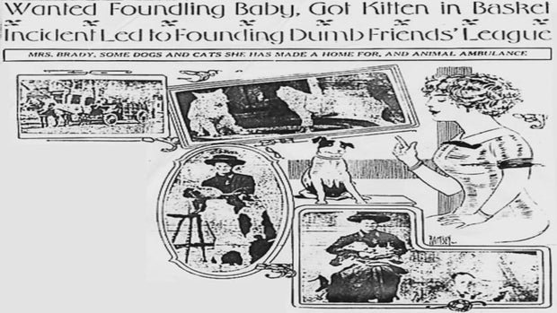 1912-newspaperclipping-jpg-frame-139.jpg