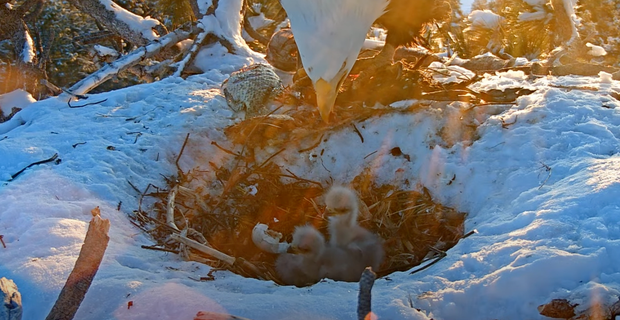 screenshot-2025-03-08-at-6-39-38-am.png 