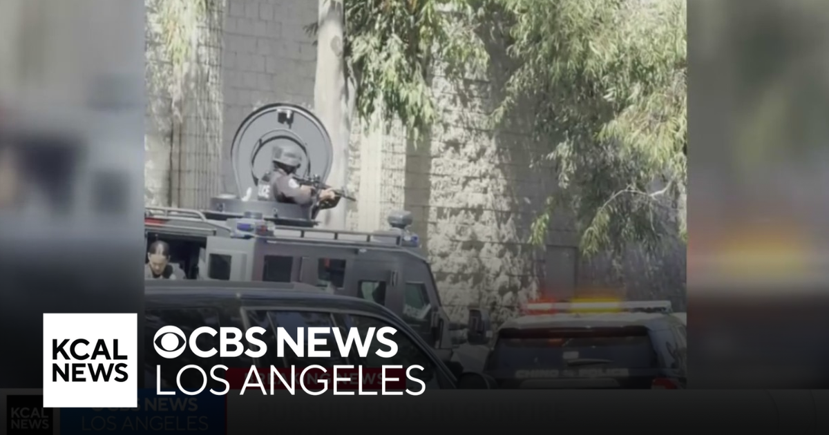 Pursuit with alleged domestic violence suspect ends as police open fire ...