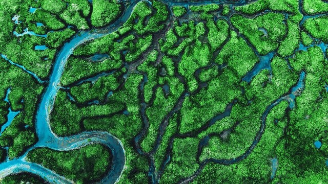 Beautiful aerial view of meander river with affluents and green vegetation. 