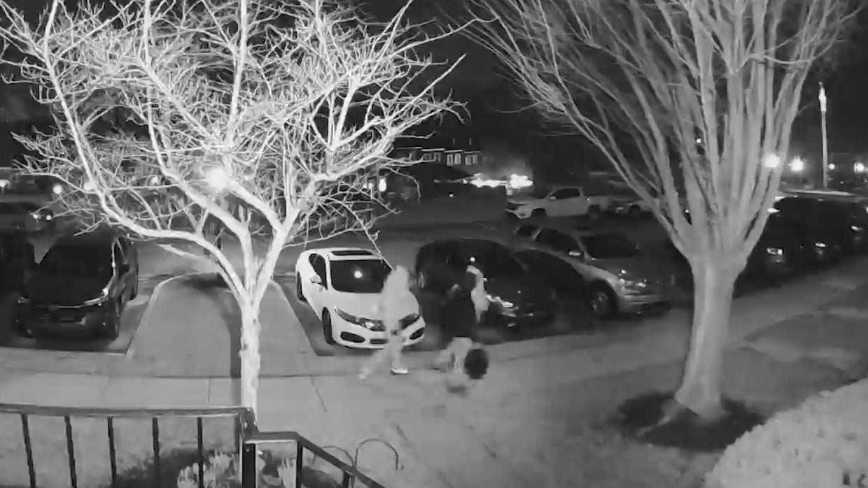 stolen-cars.jpg 