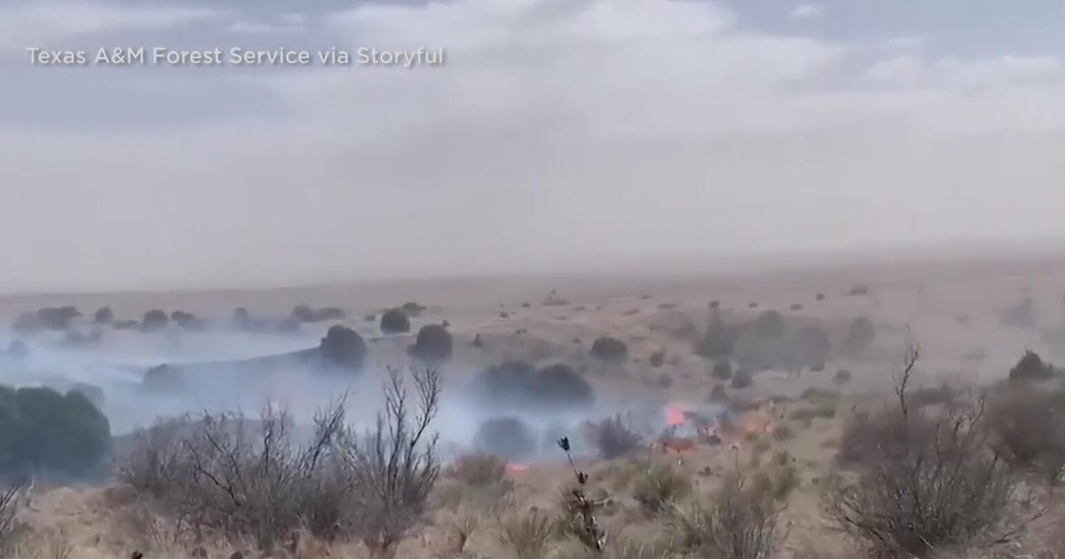 Three dead, dozens injured and massive pileup in Texas Panhandle - CBS ...