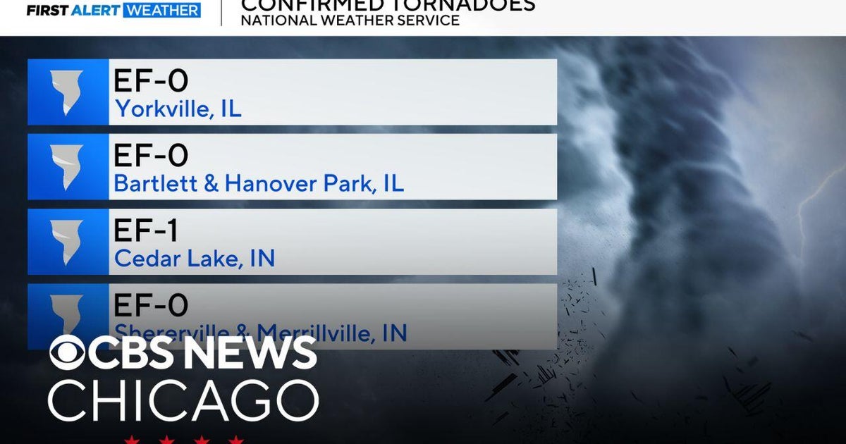 4 confirmed tornadoes touched down during Friday storms in Illinois and ...