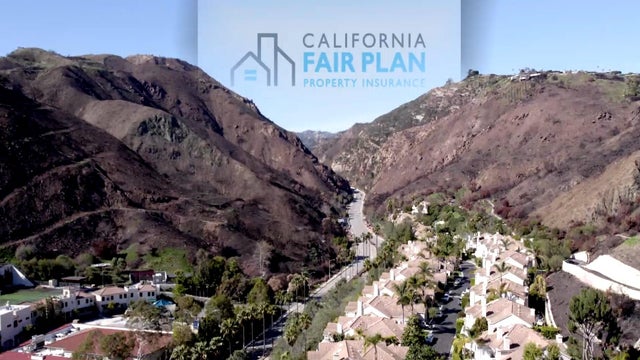 fair-plan-still.jpg 