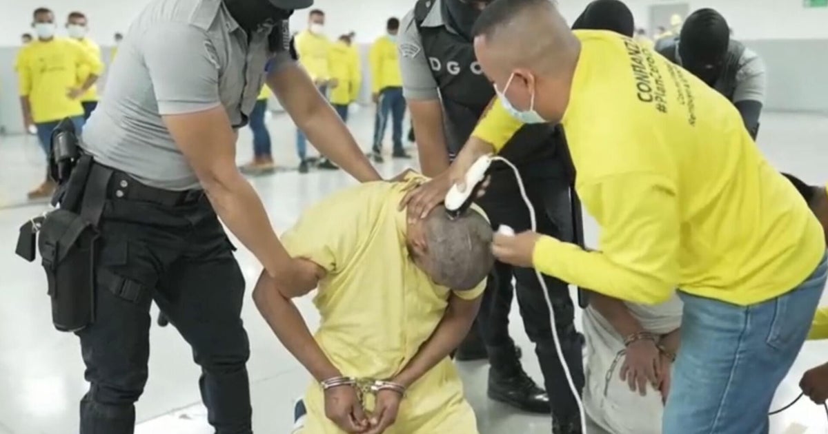 Lawsuit over deportation flights argues Trump’s use of war authority could be limitless Lawsuit over deportation flights argues Trump’s use of war authority could be limitless