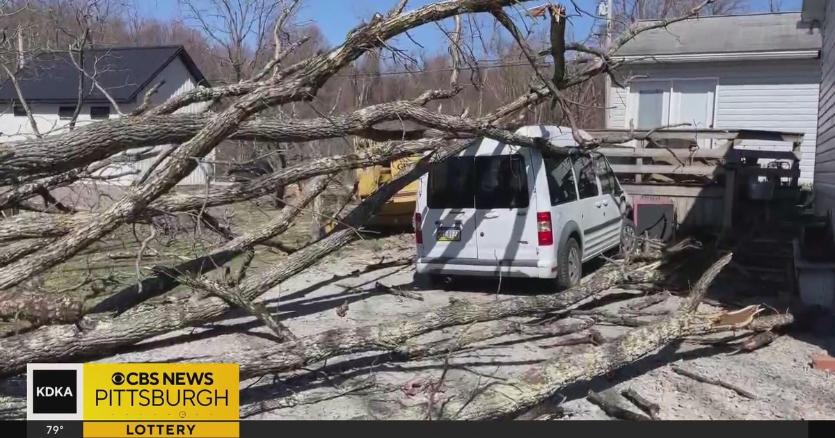 Straight line winds believed to be the cause of damage in Fayette ...