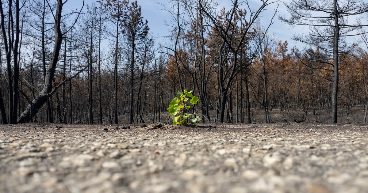 World climate report warns of growing risks to lives, economy and planet