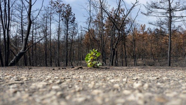 World climate report warns of growing risks to lives, economy and planet