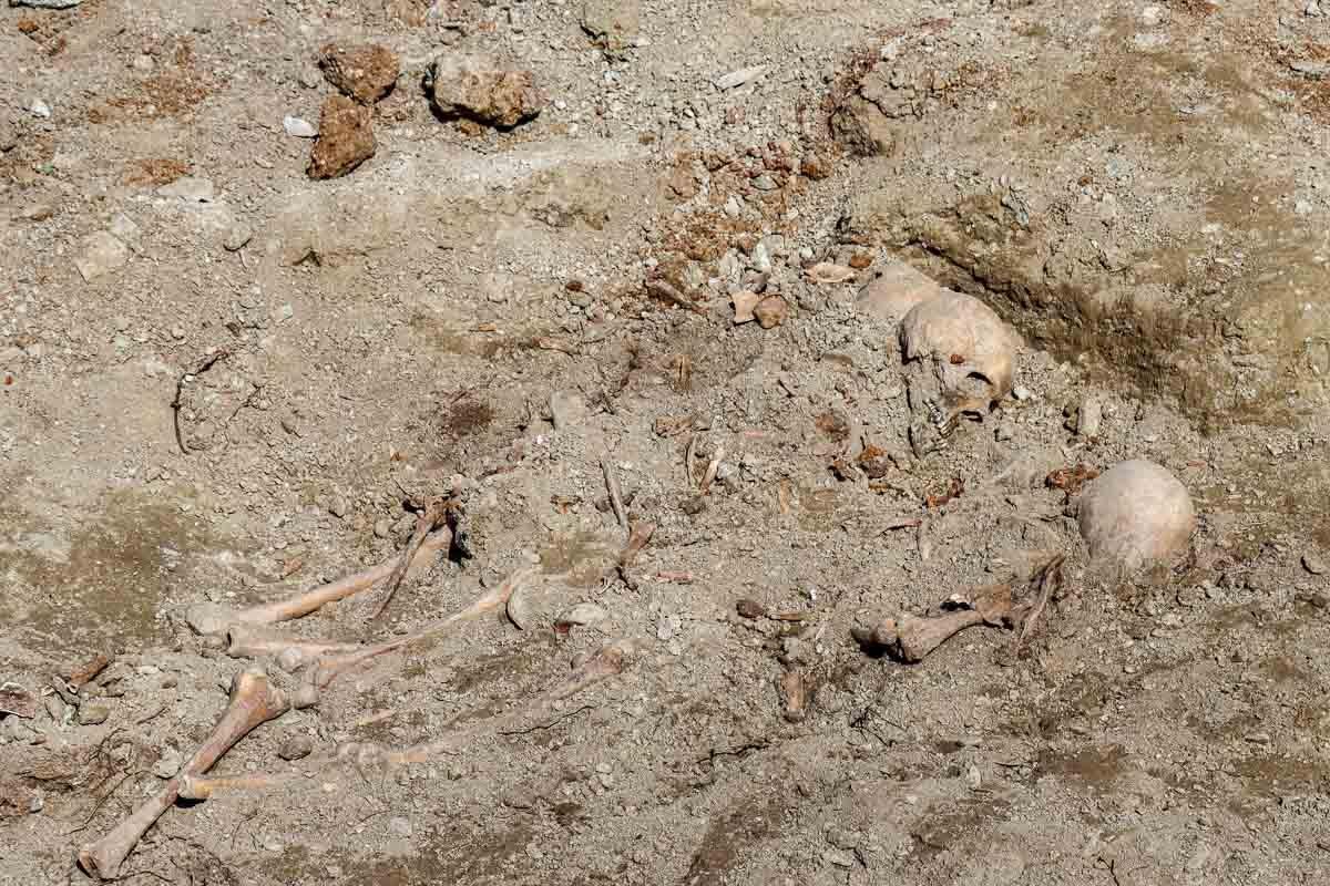 skeleton-cov-2-02-img-2458.jpg 