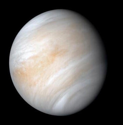Venus Conjunction 