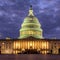 US Election 2024 Congress 