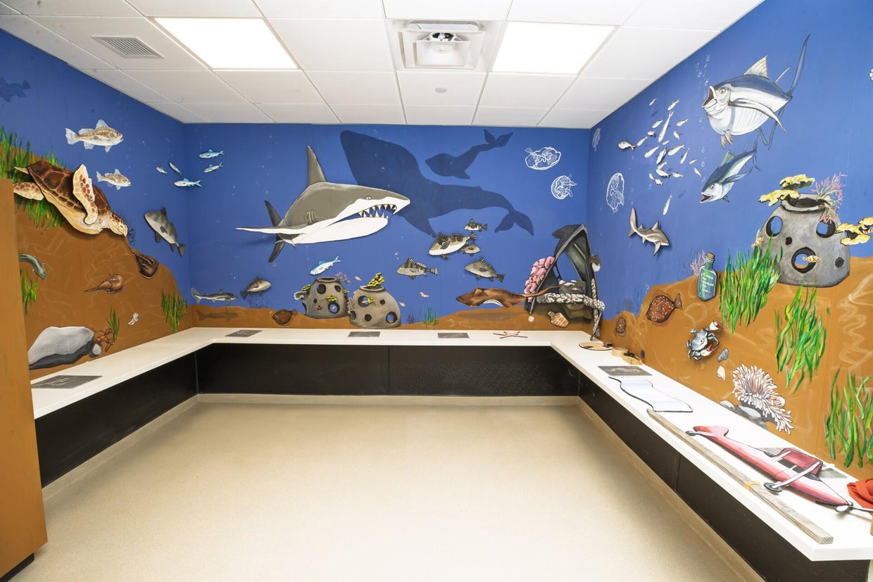 under-the-sea-coloring-area-atlantic-city-aquarium.jpg 