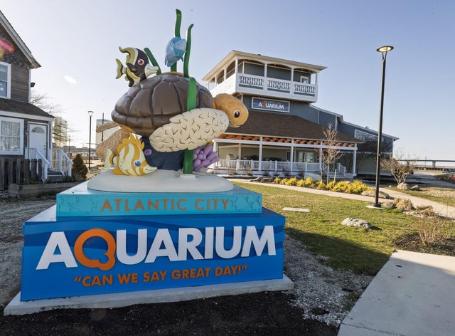 What the aquarium is likely doing during closure
