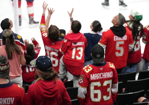 Sabres Panthers Hockey