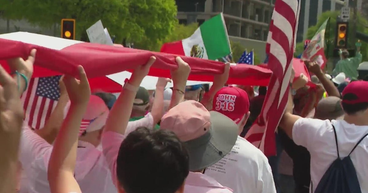 Demonstrators march through downtown Dallas for the Mega March 2025 ...