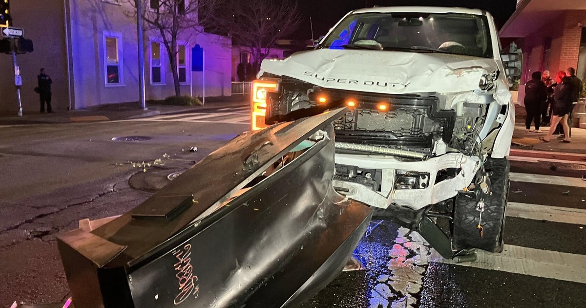 DUI Driver Arrested After Striking Trees, Signal Box in San Rafael