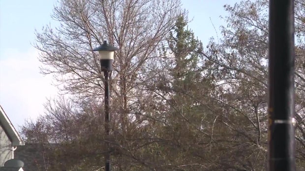 windsor-light-pole.jpg 