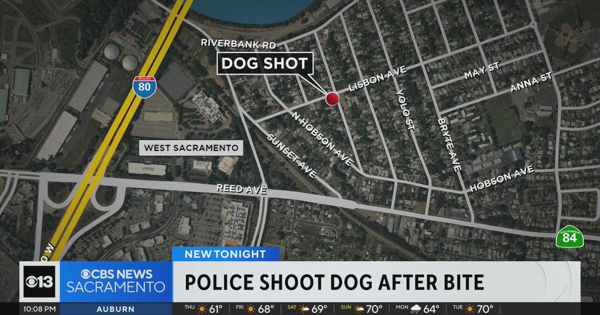 West Sacramento police officer shoots and kills dog after being bitten