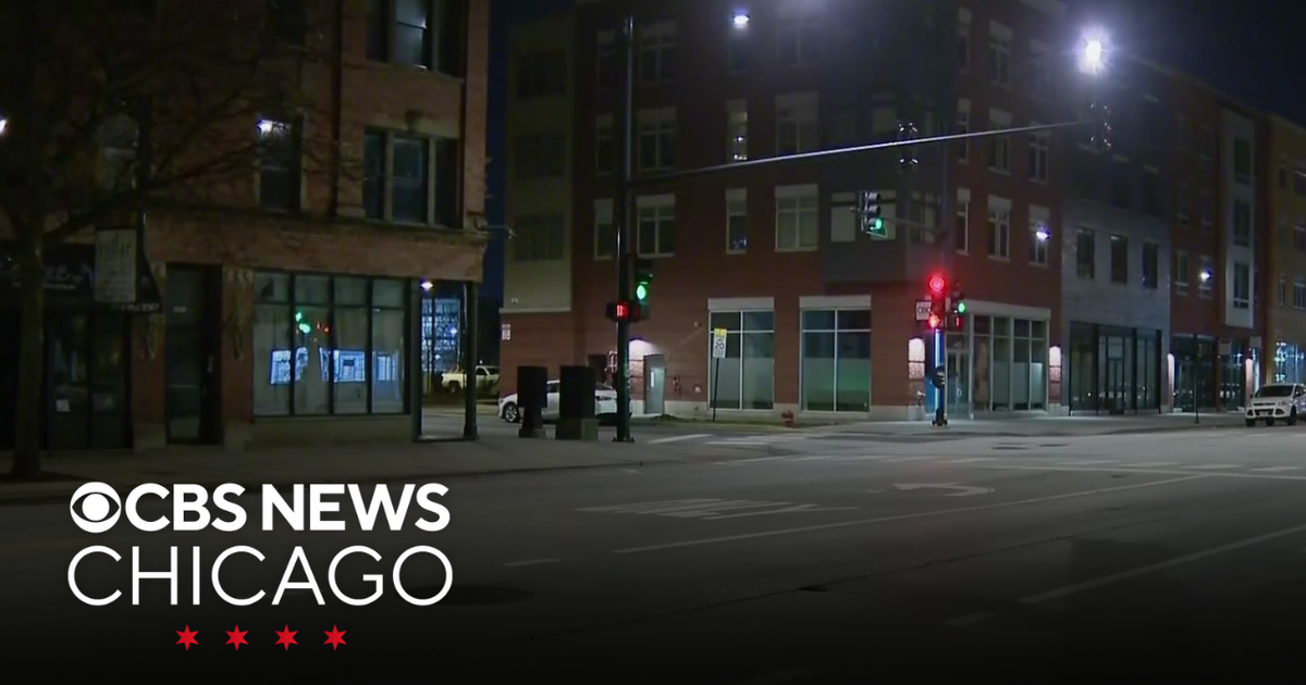 Police investigating remains found on Chicago's South Side - CBS Chicago