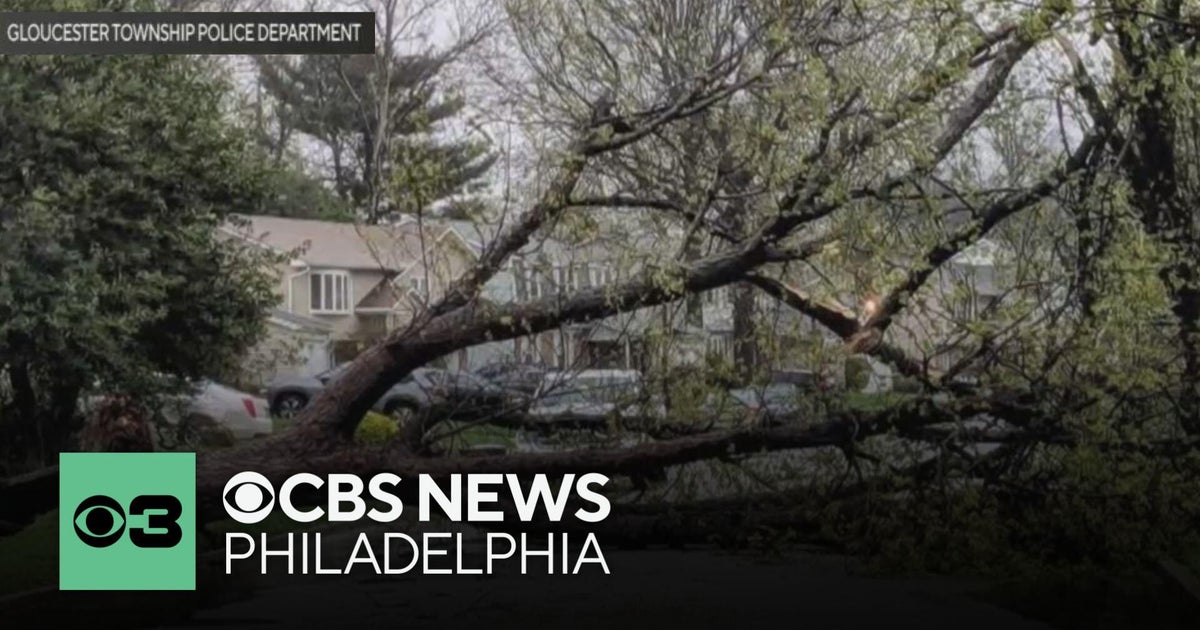 Storms with heavy and wind topple trees, close schools around New Jersey, Pennsylvania Storms with heavy and wind topple trees, close schools around New Jersey, Pennsylvania