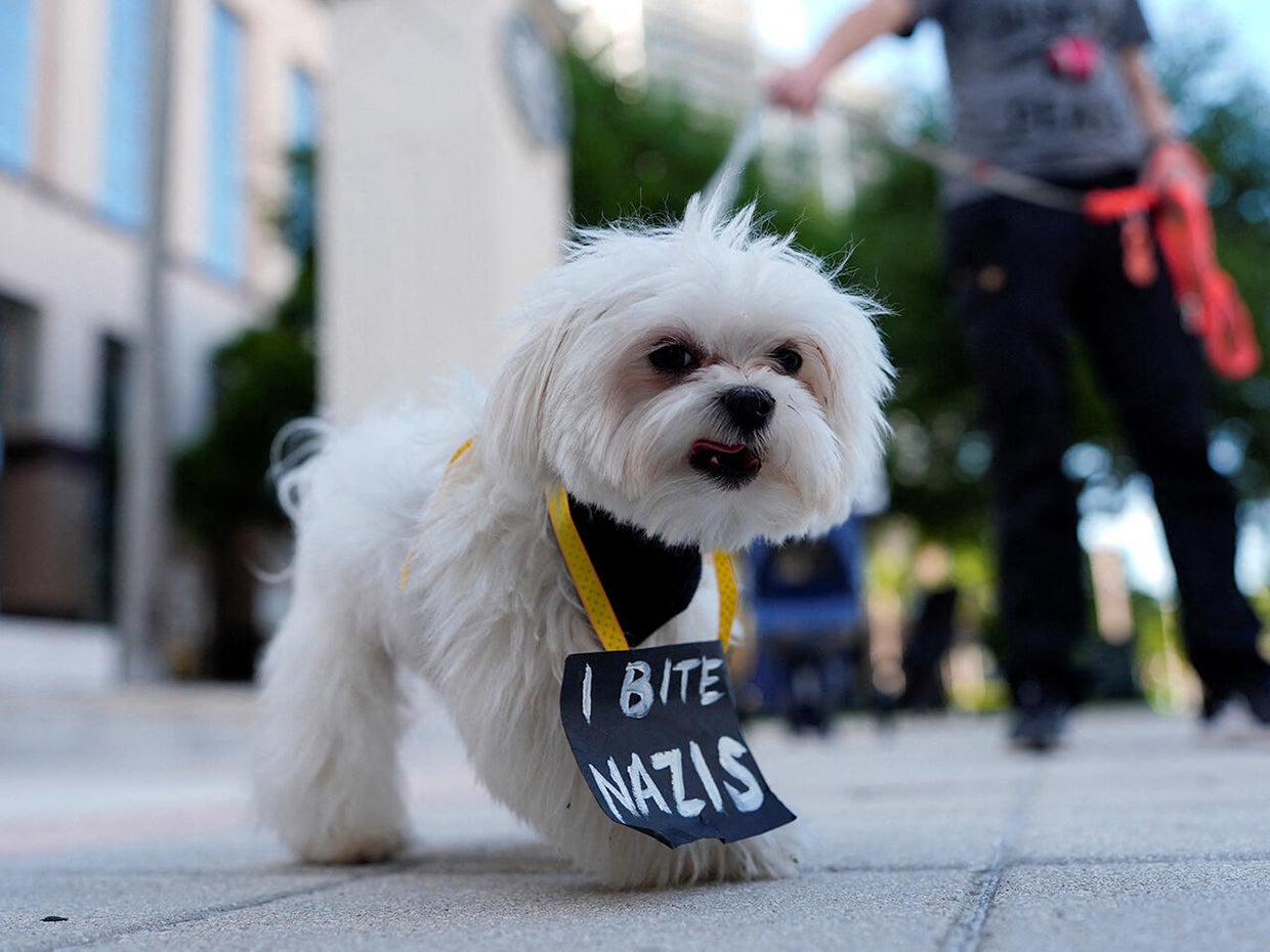Anti-Trump 'Hands Off!' protest in West Palm Beach, Florida