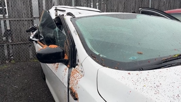 smushed-car-pt-2.png 