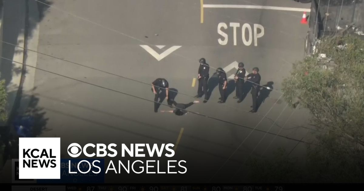 Homeowner shot by police during search for hit-and-run suspects in ...