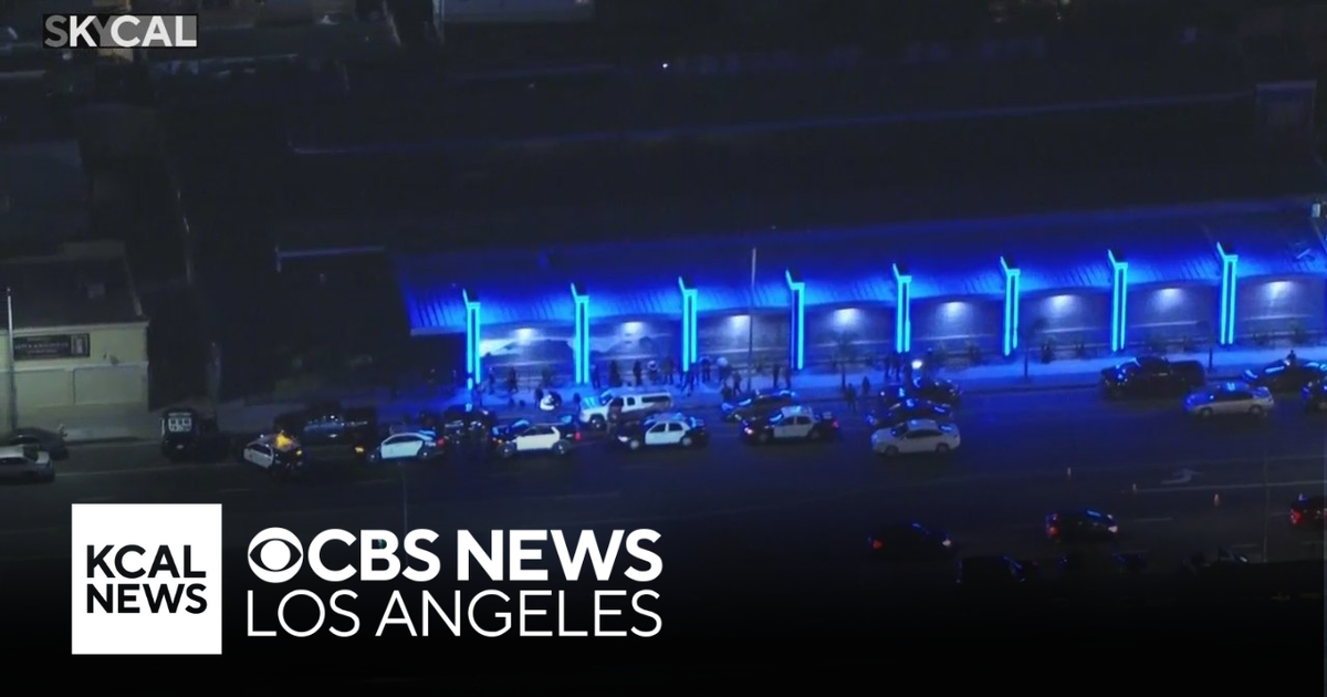 LAPD vice and gang units detain several people during operation in North Hollywood