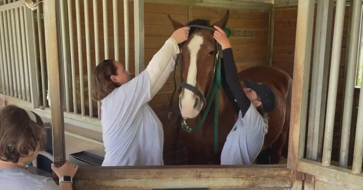 Peninsula horse ranch expanded into all-inclusive nonprofit for ...