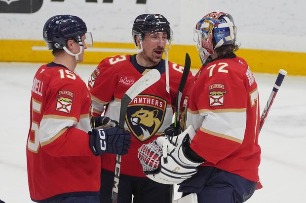 Red Wings Panthers Hockey 