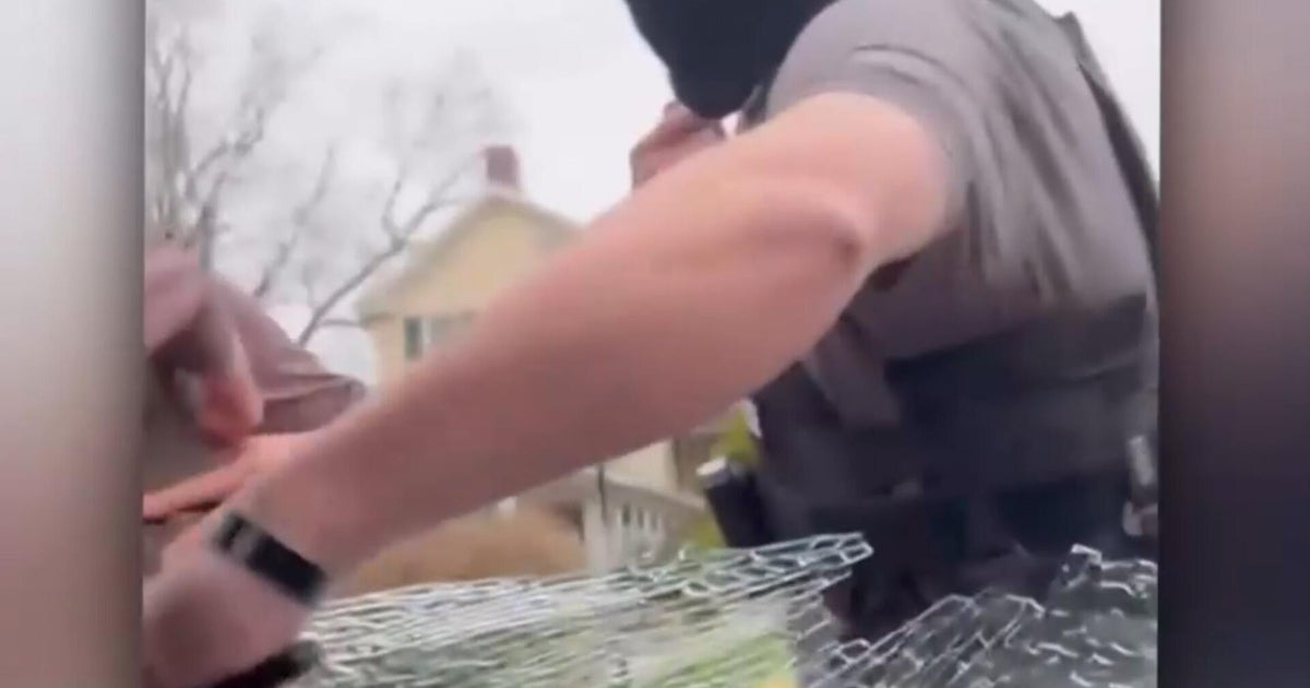 ICE agents seen smashing mother's car window before taking her into ...