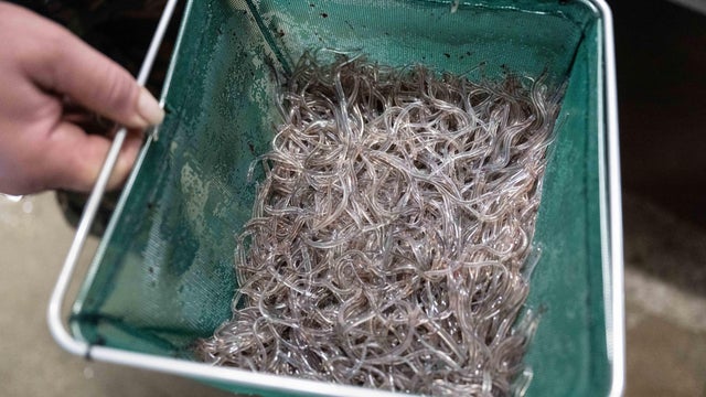 FRANCE-ENVIRONMENT-ANIMAL