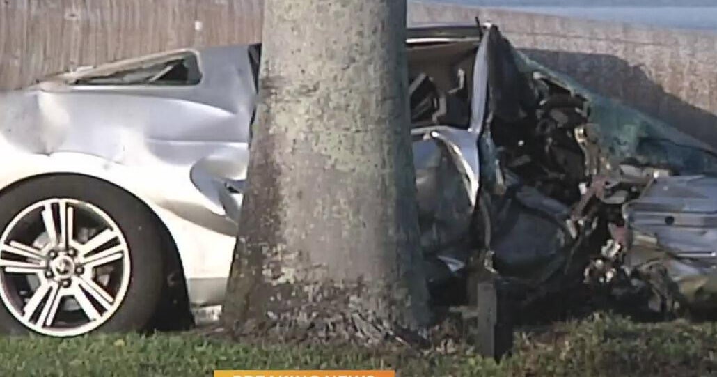 Driver hospitalized after crashing into palm tree in Bay Harbor Island ...