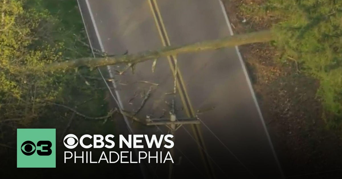 Strong winds knock down trees, power lines around Philadelphia area ...