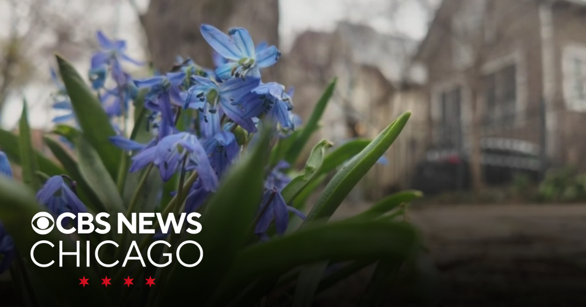 Neighbors rush to help man who was shot in Lincoln Park neighborhood ...