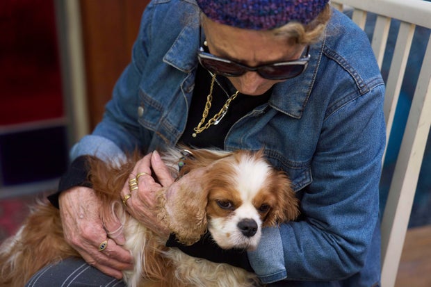 Israel Gaza Dog Rescue 