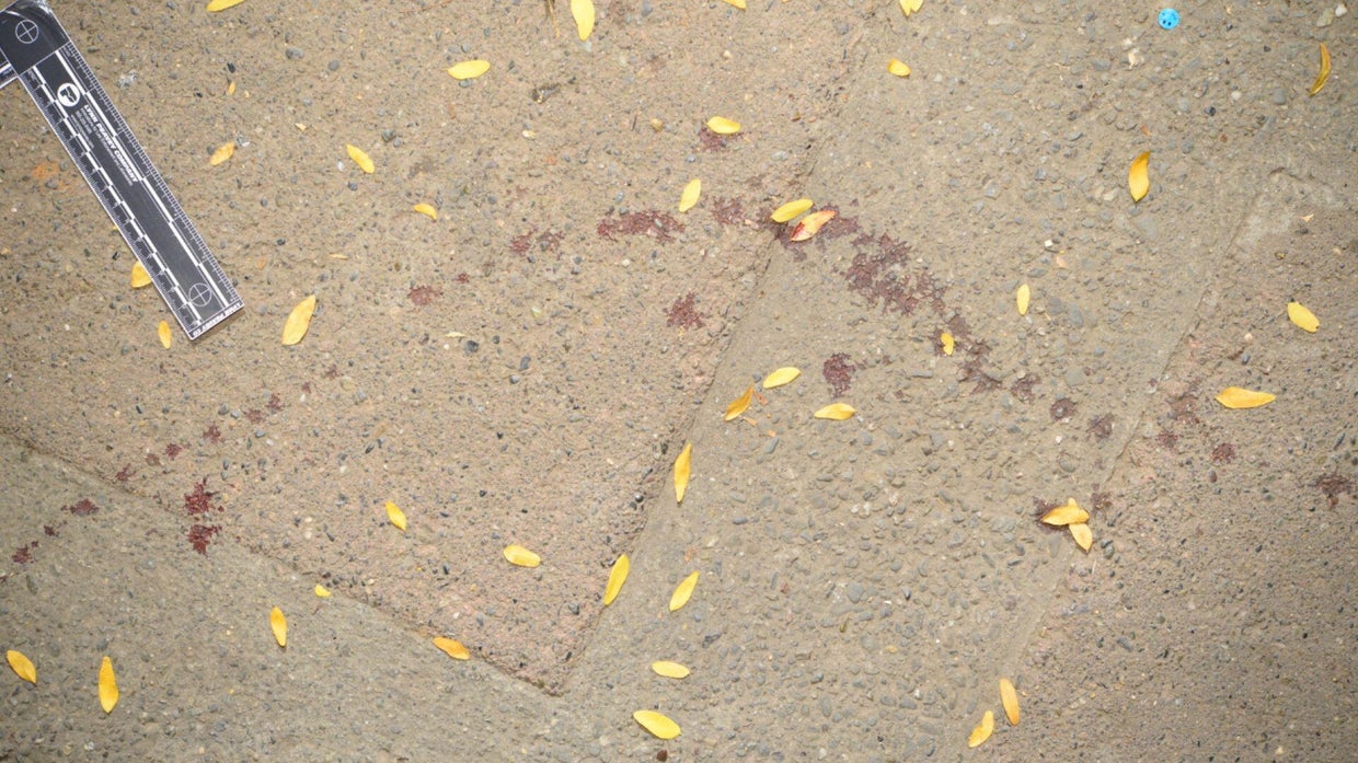 Aaron Friar murder evidence