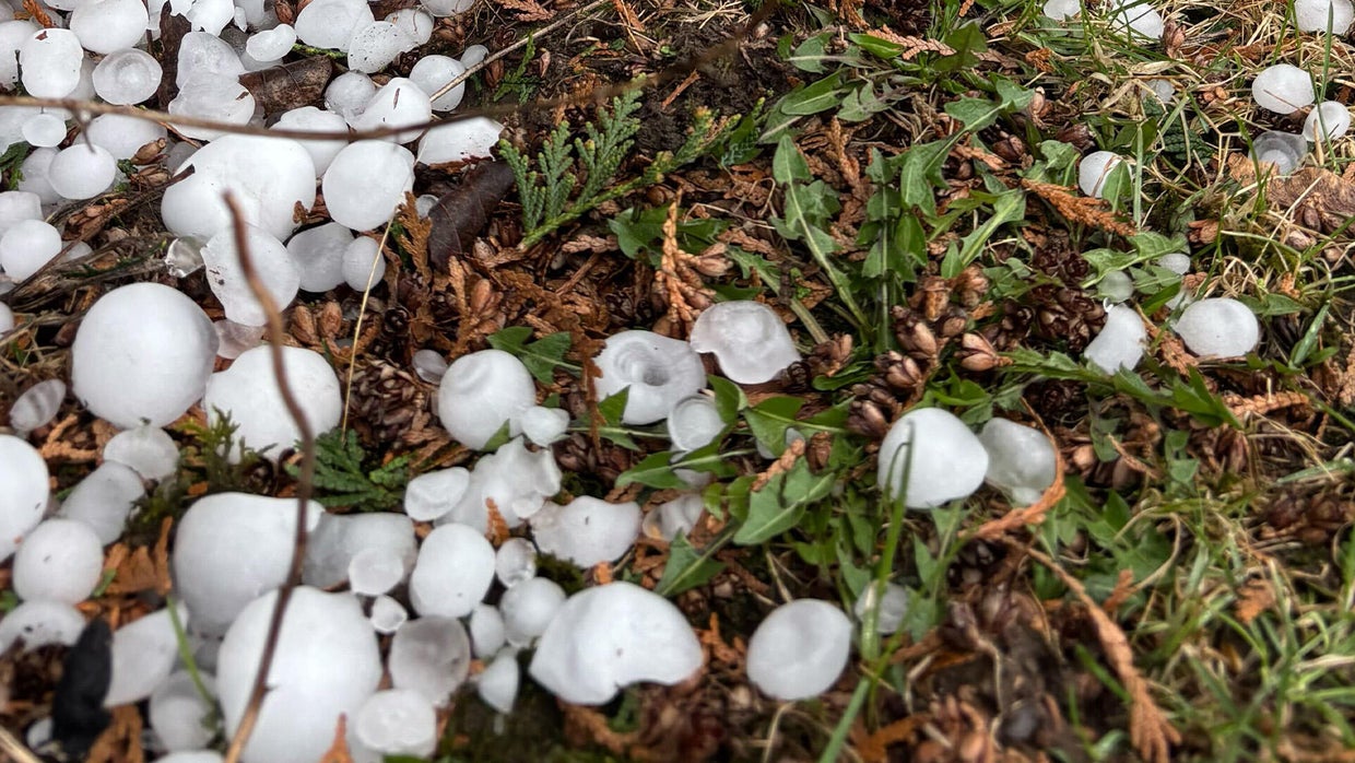 hail-2.jpg 