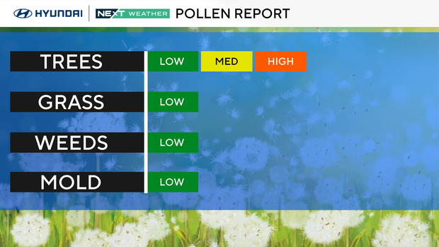 Pollen report 