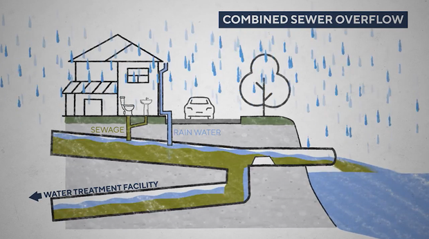 A CBS News graphic demonstrates what happens during a combined sewer overflow. 
