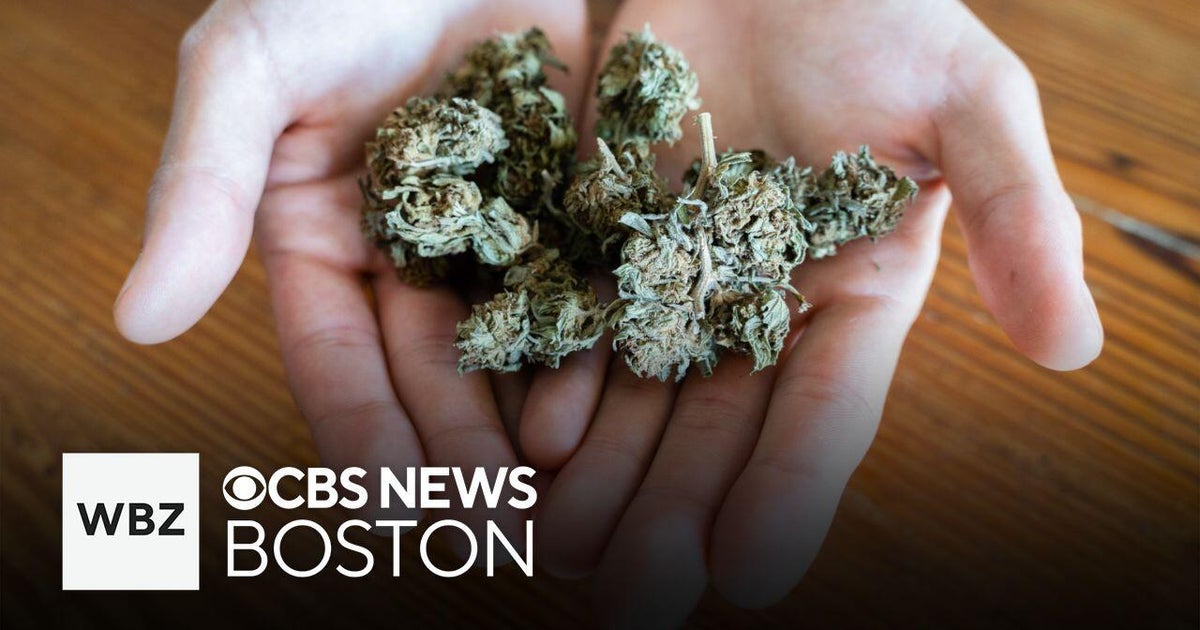 New study finds link between heavy cannabis use in those over 45 and dementia