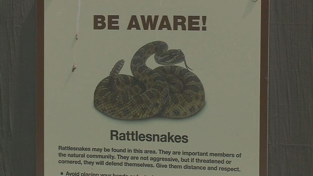 snakes-and-warmer-weather-6pkg-frame-903.jpg 